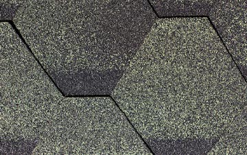 Colyton fibreglass shingle repairs