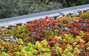 the cost of Colyton green roof installation