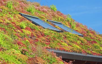 Colyton living roof systems